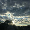 linsay_a